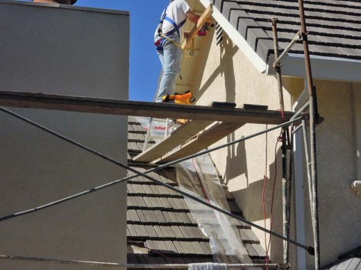 scaffold7_1000
