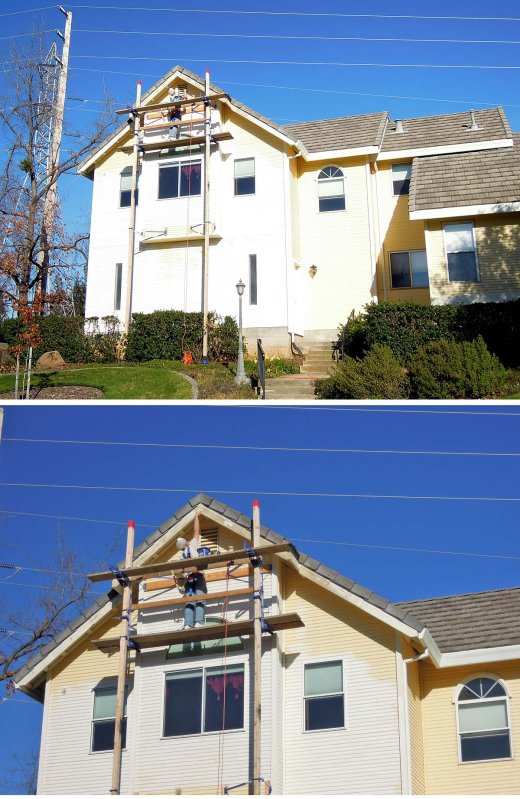 scaffold_top3_1200